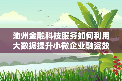 池州金融科技服务如何利用大数据提升小微企业融资效率？