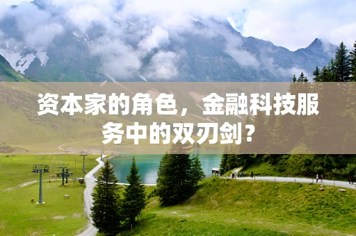 资本家的角色，金融科技服务中的双刃剑？