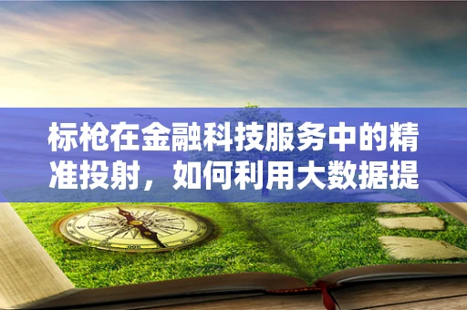 标枪在金融科技服务中的精准投射，如何利用大数据提高风险评估精度？