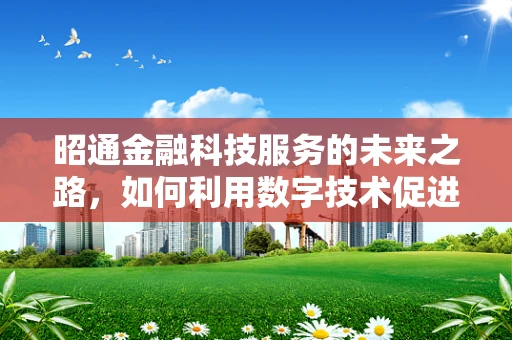 昭通金融科技服务的未来之路，如何利用数字技术促进地方经济发展？