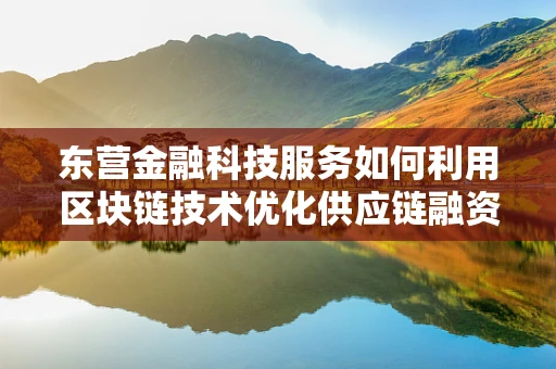 东营金融科技服务如何利用区块链技术优化供应链融资？