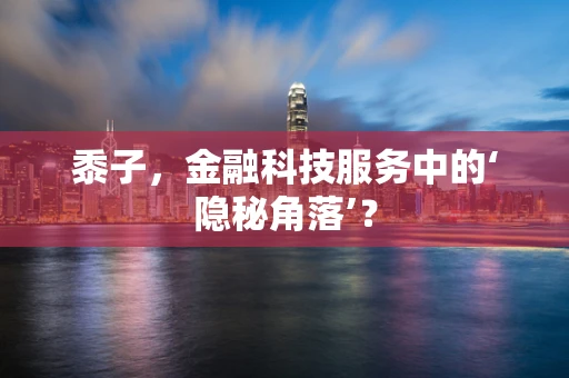 黍子，金融科技服务中的‘隐秘角落’？
