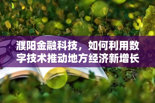 濮阳金融科技，如何利用数字技术推动地方经济新增长？