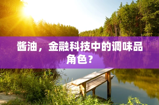 酱油，金融科技中的调味品角色？