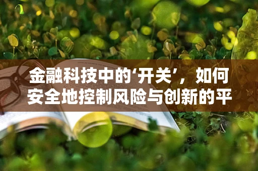 金融科技中的‘开关’，如何安全地控制风险与创新的平衡？