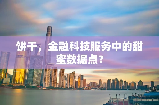 饼干，金融科技服务中的甜蜜数据点？