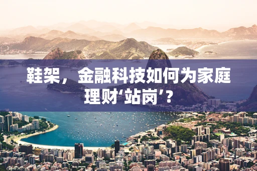 鞋架，金融科技如何为家庭理财‘站岗’？