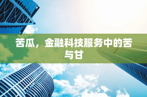苦瓜，金融科技服务中的苦与甘