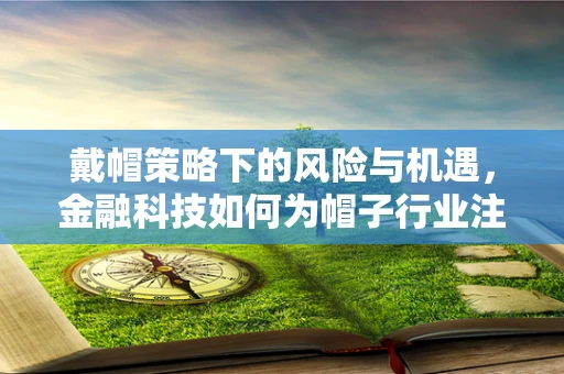 戴帽策略下的风险与机遇，金融科技如何为帽子行业注入新活力？