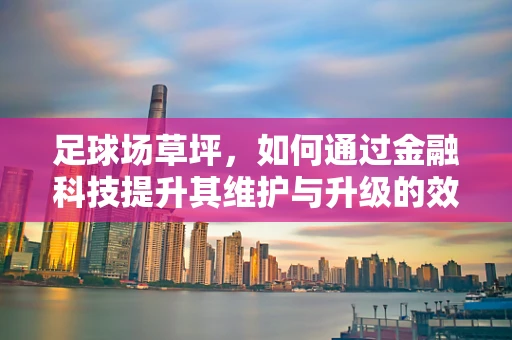 足球场草坪，如何通过金融科技提升其维护与升级的效率？
