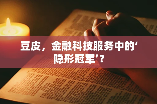 豆皮，金融科技服务中的‘隐形冠军’？