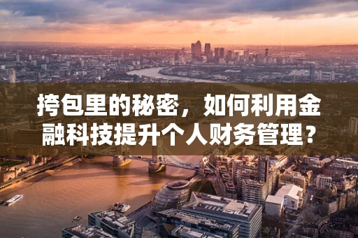 挎包里的秘密，如何利用金融科技提升个人财务管理？