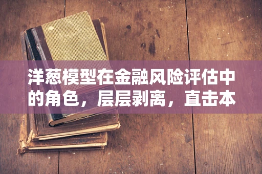 洋葱模型在金融风险评估中的角色，层层剥离，直击本质