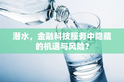 潜水，金融科技服务中隐藏的机遇与风险？
