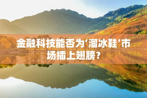 金融科技能否为‘溜冰鞋’市场插上翅膀？