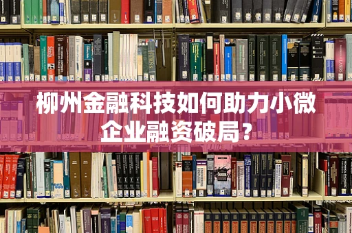 柳州金融科技如何助力小微企业融资破局？