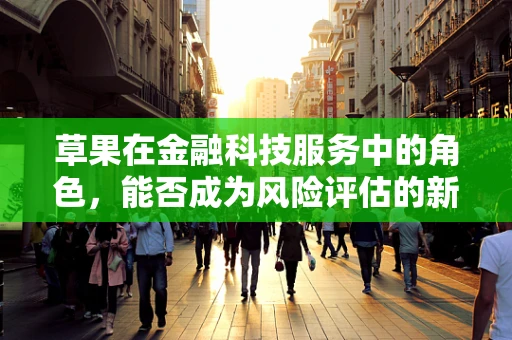 草果在金融科技服务中的角色，能否成为风险评估的新香料？