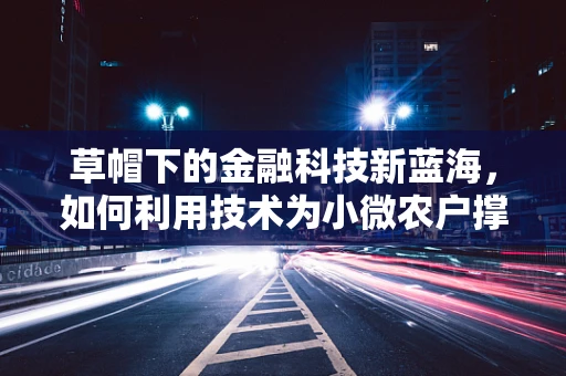 草帽下的金融科技新蓝海，如何利用技术为小微农户撑起一片天？