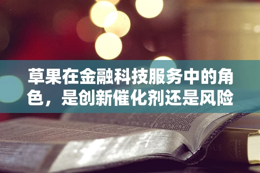草果在金融科技服务中的角色，是创新催化剂还是风险隐忧？
