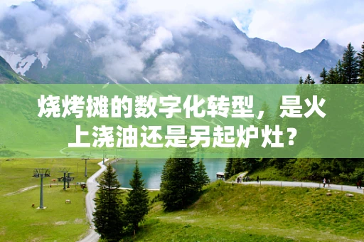 烧烤摊的数字化转型，是火上浇油还是另起炉灶？