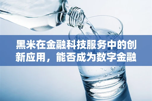 黑米在金融科技服务中的创新应用，能否成为数字金融的‘黑珍珠’？