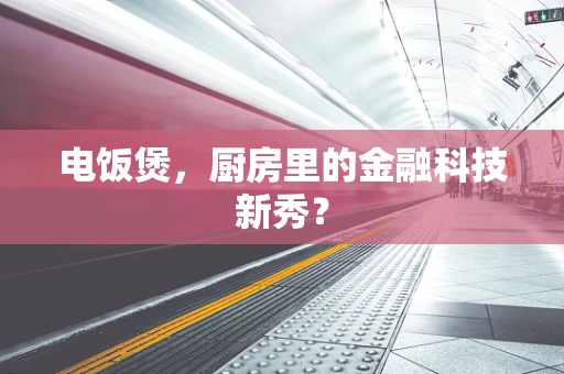 电饭煲，厨房里的金融科技新秀？