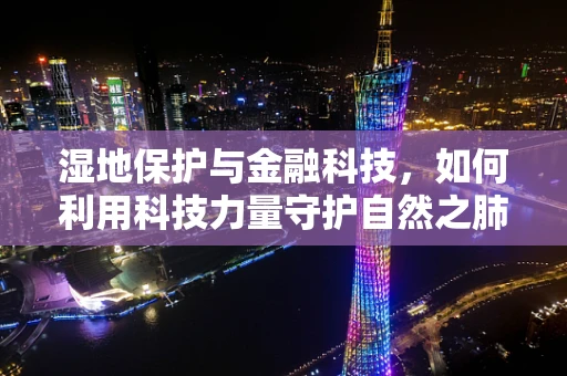 湿地保护与金融科技，如何利用科技力量守护自然之肺？