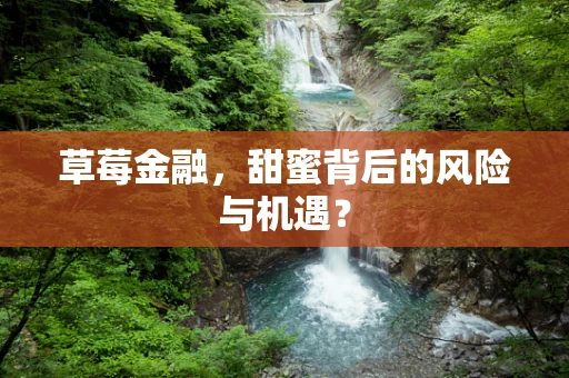 草莓金融，甜蜜背后的风险与机遇？