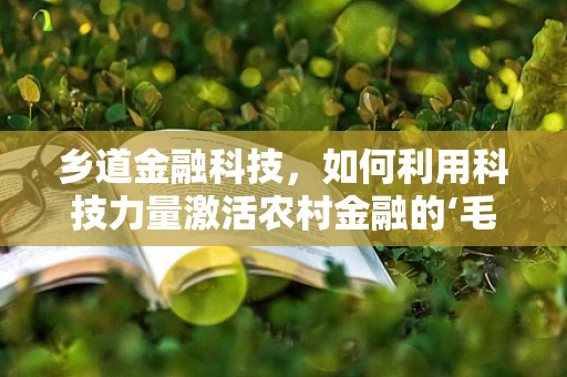 乡道金融科技，如何利用科技力量激活农村金融的‘毛细血管’？