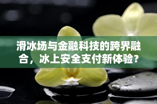 滑冰场与金融科技的跨界融合，冰上安全支付新体验？