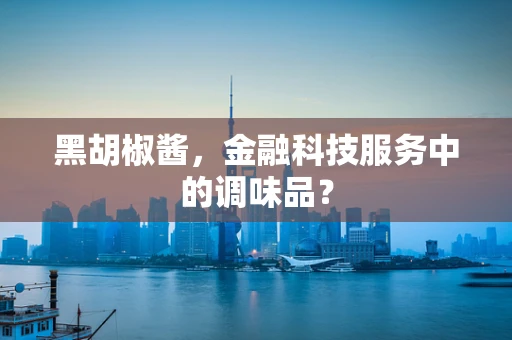 黑胡椒酱，金融科技服务中的调味品？