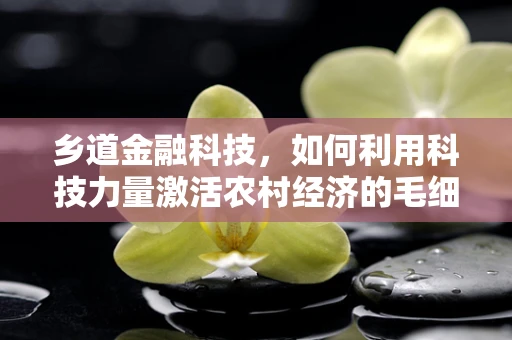 乡道金融科技，如何利用科技力量激活农村经济的毛细血管？