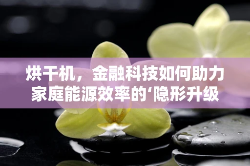 烘干机，金融科技如何助力家庭能源效率的‘隐形升级’？