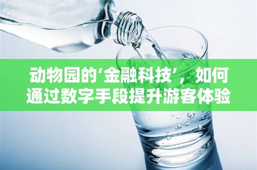 动物园的‘金融科技’，如何通过数字手段提升游客体验？