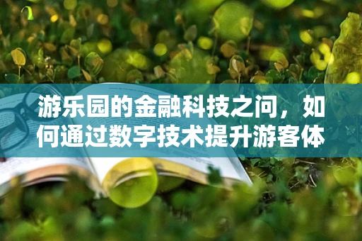 游乐园的金融科技之问，如何通过数字技术提升游客体验？