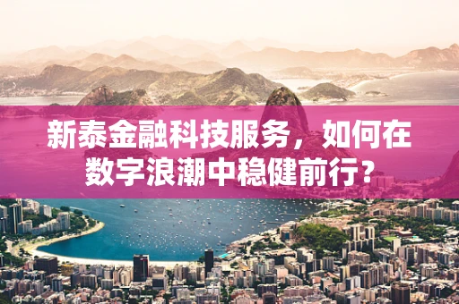 新泰金融科技服务，如何在数字浪潮中稳健前行？