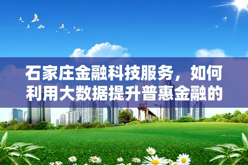 石家庄金融科技服务，如何利用大数据提升普惠金融的深度与广度？