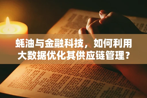 蚝油与金融科技，如何利用大数据优化其供应链管理？