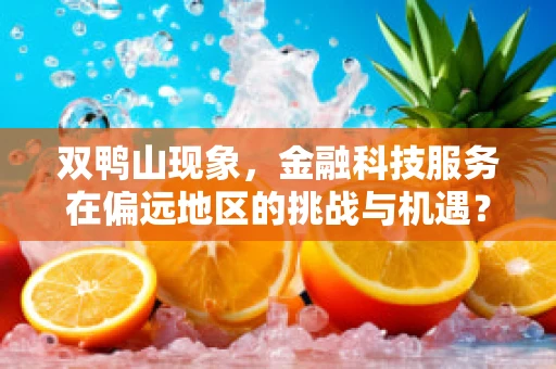 双鸭山现象，金融科技服务在偏远地区的挑战与机遇？