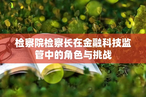 检察院检察长在金融科技监管中的角色与挑战