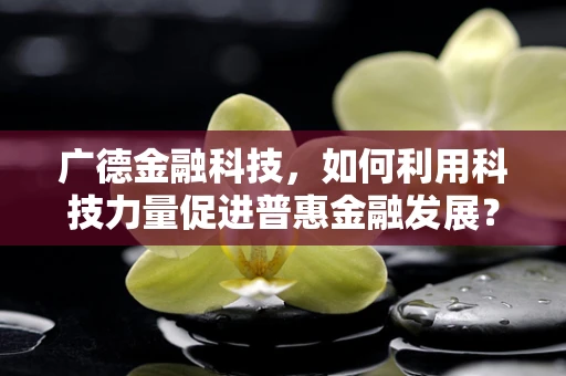 广德金融科技，如何利用科技力量促进普惠金融发展？