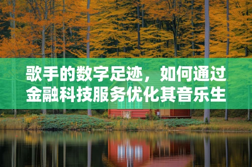 歌手的数字足迹，如何通过金融科技服务优化其音乐生涯的财务管理？