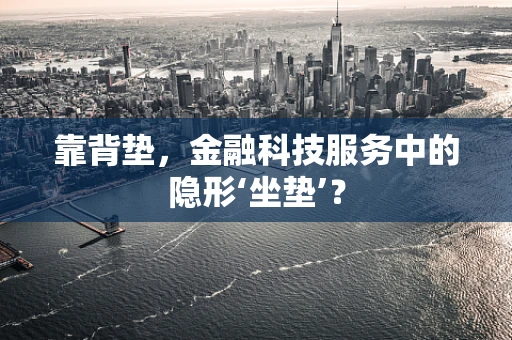靠背垫，金融科技服务中的隐形‘坐垫’？