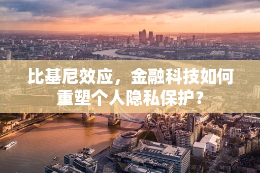 比基尼效应，金融科技如何重塑个人隐私保护？