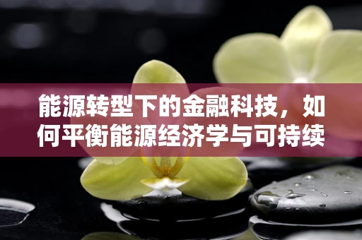 能源转型下的金融科技，如何平衡能源经济学与可持续发展？