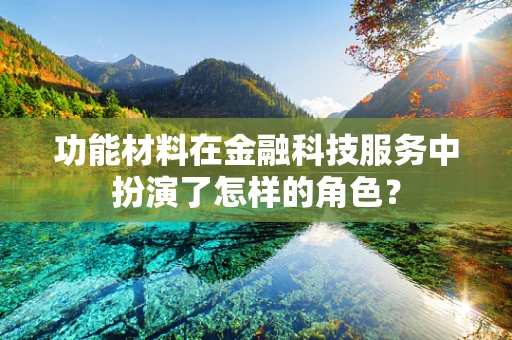 功能材料在金融科技服务中扮演了怎样的角色？