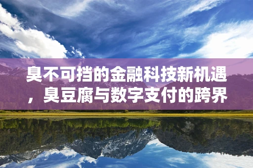 臭不可挡的金融科技新机遇，臭豆腐与数字支付的跨界探索