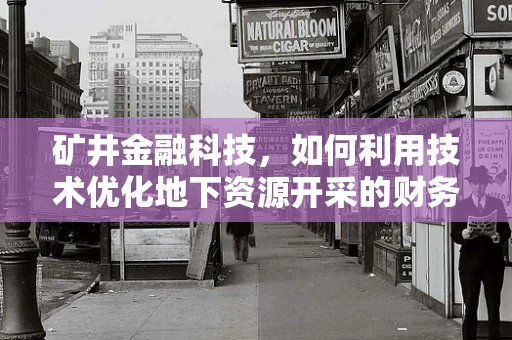 矿井金融科技，如何利用技术优化地下资源开采的财务管理？