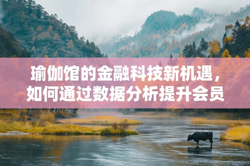 瑜伽馆的金融科技新机遇，如何通过数据分析提升会员体验与运营效率？