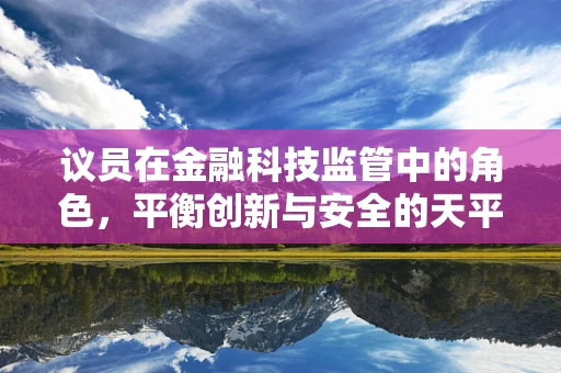 议员在金融科技监管中的角色，平衡创新与安全的天平？